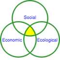 Eco-friendly plumbers in St. Johns Wood