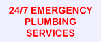 Plumbing Company in Belgravia